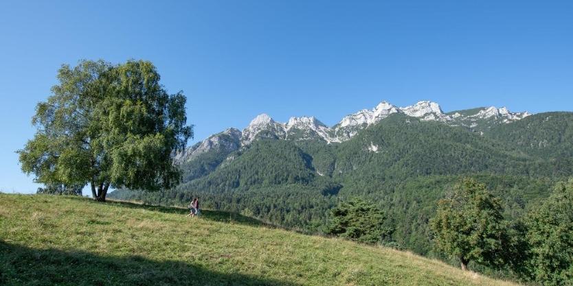 Casa Vacanza Da Nonna Elena Vattaro Kültér fotó